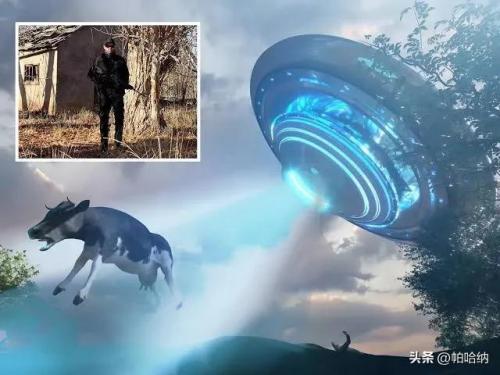 灵异牧场(灵异牧场是真实事件改编吗)插图2