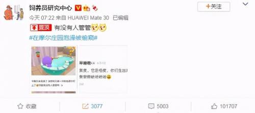 摩尔庄园黑森林大火(摩尔庄园纯白之翼)插图2