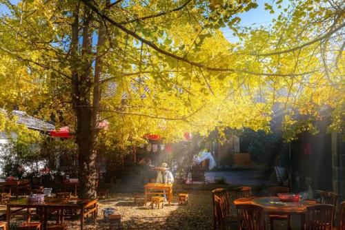 腾冲热门景点排名前十(腾冲有哪些必玩景点)插图24