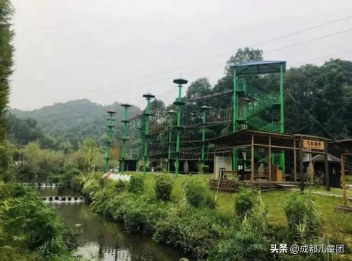 幼儿培训学校排名前十(幼儿园的孩子报什么培训班好)插图54