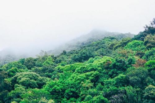 深圳最好玩的地方(深圳最值得去的地方)插图96