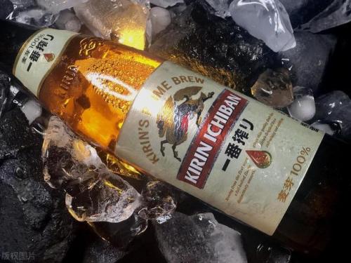全球啤酒集团排名前十(国内啤酒排行榜前十名)插图7