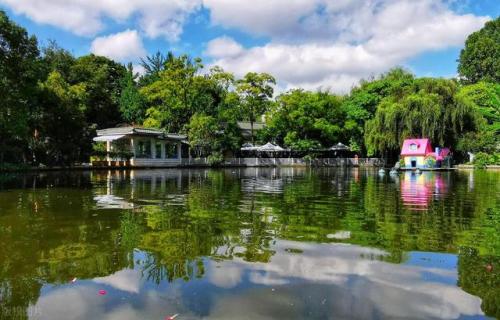 昆明旅游(昆明老街)插图23