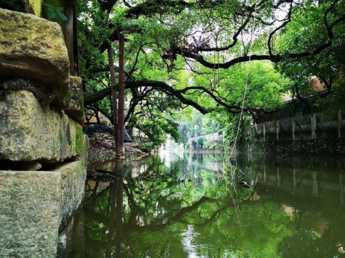 广东旅游必去十大景点(广东2-3天短途亲子游)插图29
