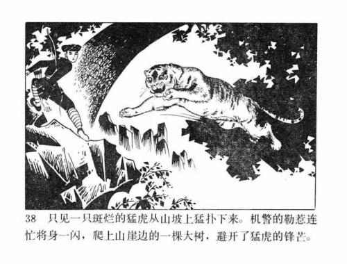一幅壮锦(一幅壮锦告诉我们什么道理)插图40