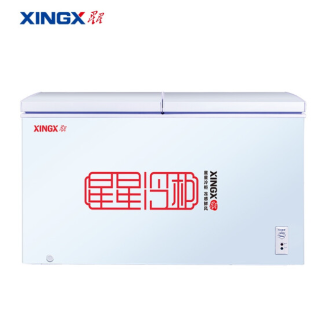 冰淇淋冰柜牌子排名前十(名牌冰柜十大名牌)插图7