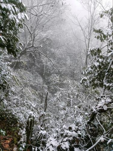 四川哪里下雪了(2023第一场雪)插图9