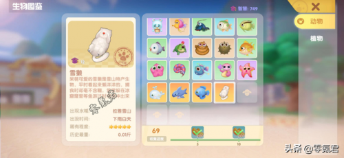 摩尔庄园渔网怎么买(摩尔渔网怎么拿)插图