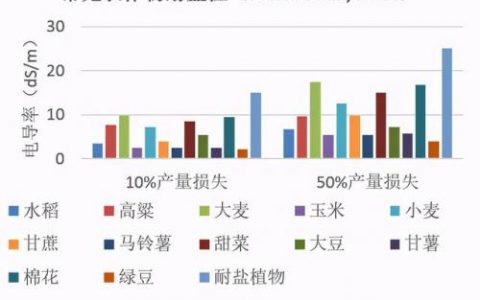 植物大战僵尸ds版(植物大战僵尸NDS版小游戏)