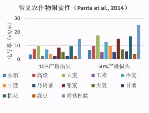 植物大战僵尸ds版(植物大战僵尸NDS版小游戏)插图
