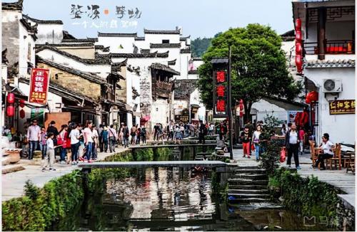 婺源油菜花(婺源油菜花文案)插图7