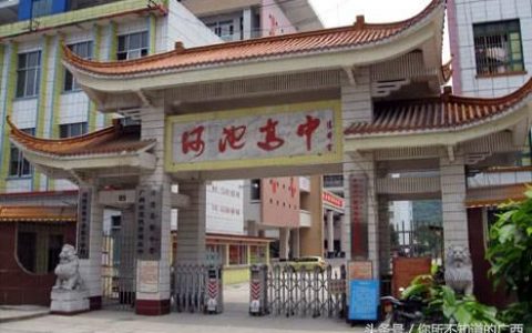 河池高中排名前十(广西十大重点高中)
