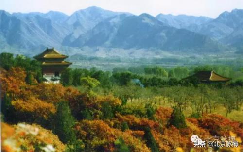 110221是北京哪个区(北京多少个区)插图64