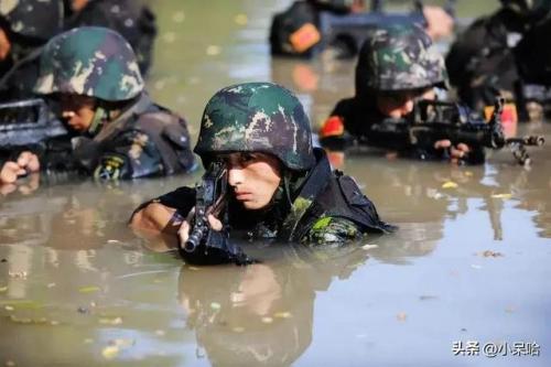 特种兵题材的电视剧(特战军旅电视剧)插图1