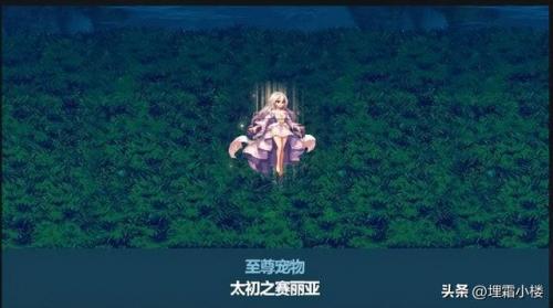 2022腰带鞋子附魔宝珠三攻(2023鞋子宝珠附魔推荐)插图6