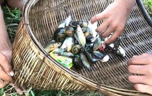 捕鱼网具(山姆斯捕鱼器效果好吗)插图1