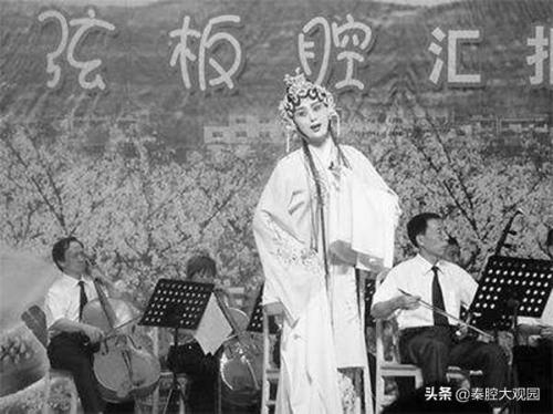 兴平唢呐高手排名前十(兴平过白事唢呐)插图