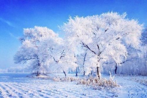 新疆雪景全国排名前十(中国哪里雪景最美)插图9