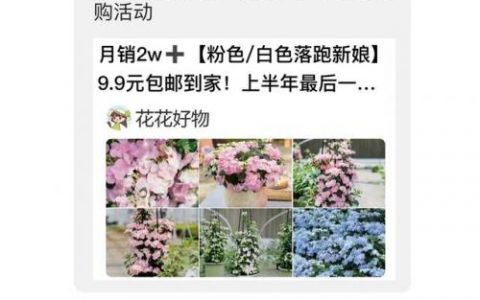 珍稀植物(世界十大珍稀药材)
