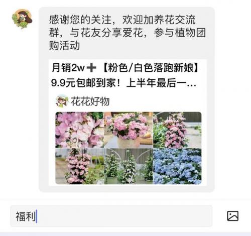 珍稀植物(世界十大珍稀药材)插图