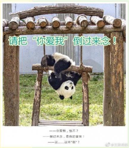 土味情话大全(撩妹500句土味情话)插图1