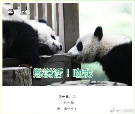 土味情话大全(撩妹500句土味情话)插图2