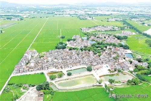 开平碉楼特点(开平必去6个景点)插图6