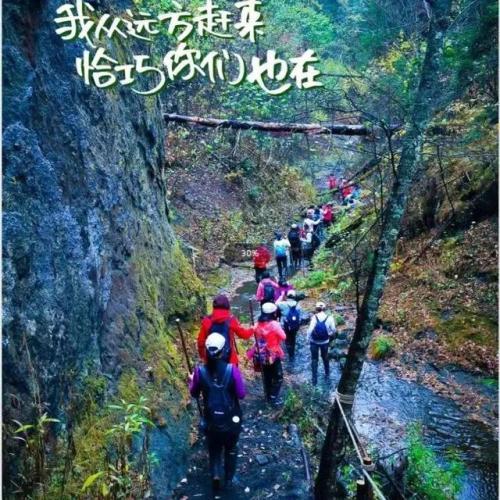 聚龙火山石林景区(长白山聚龙火山温泉简介)插图4