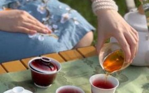 武夷山岩茶(岩茶十大品牌)