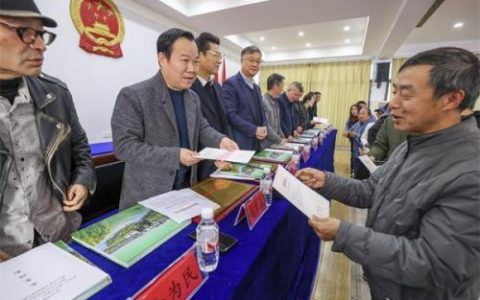荆州摄影企业排名前十(荆州儿童摄影哪家好)