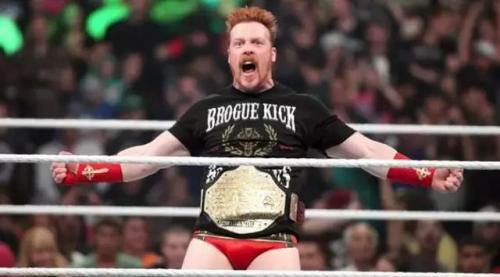 wwe体育价值排名前十(wwe历史十大排名)插图48