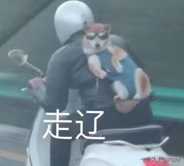 多克多比游戏(多克多比回归是否靠谱)插图35