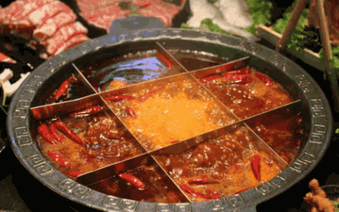 重庆火锅品牌(四川火锅品牌)