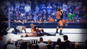 wwe体育价值排名前十(wwe历史十大排名)插图17