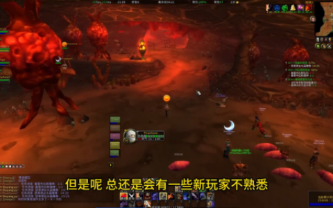 魔兽植物大战僵尸攻略(植物大战僵尸攻略大全图解 布阵)