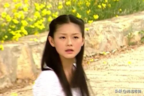 流星花园2剧情介绍(流星花园2演员表)插图5