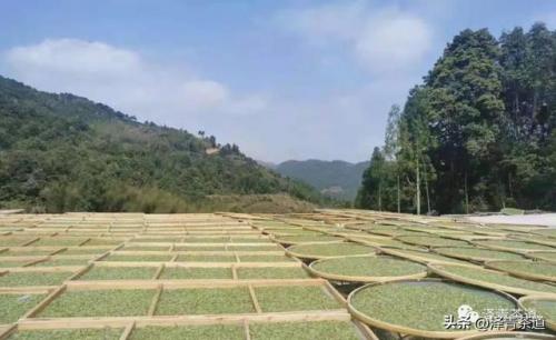 紫砂茶壶品牌排名前十(高端紫砂壶的品牌)插图52