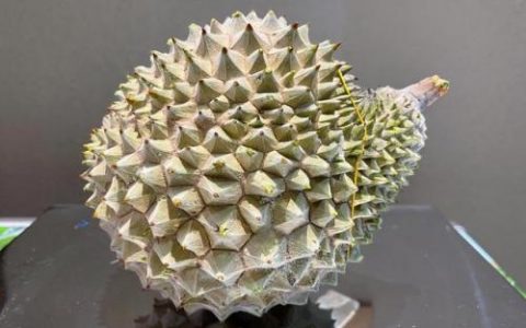 暗铁榴莲(榴莲和铁能一起吃吗)