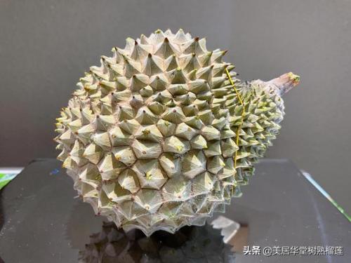暗铁榴莲(榴莲和铁能一起吃吗)插图