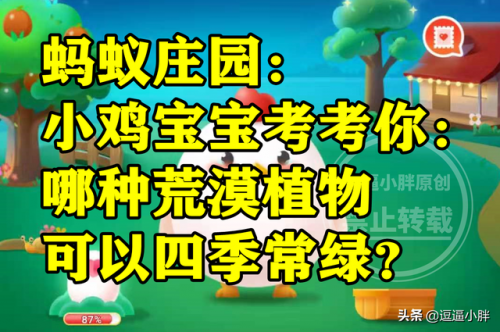 小鸡宝宝考考你哪种荒漠植物(宝可梦大探险草系精灵推荐)插图1