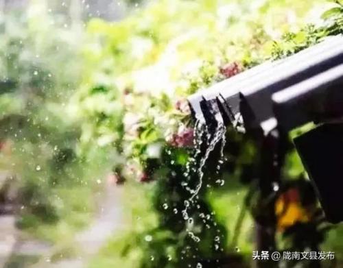 雨落凡尘(羽落凡尘)插图3