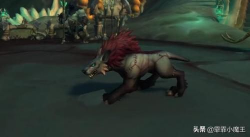 wow小宠物推荐(魔兽世界野外稀有小宠物)插图8