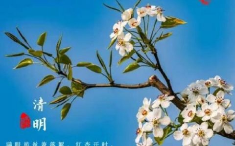 天籁之声(经典十大天籁之声歌曲)