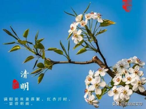 天籁之声(经典十大天籁之声歌曲)插图