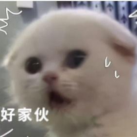 全网销量前十纸巾排名(全网销量最高排行榜)插图7