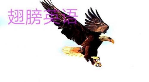 线圈英文(常开触点英文)插图5