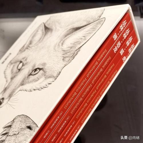 丛林之狐2中文版(丛林之狐中文版攻略)插图1