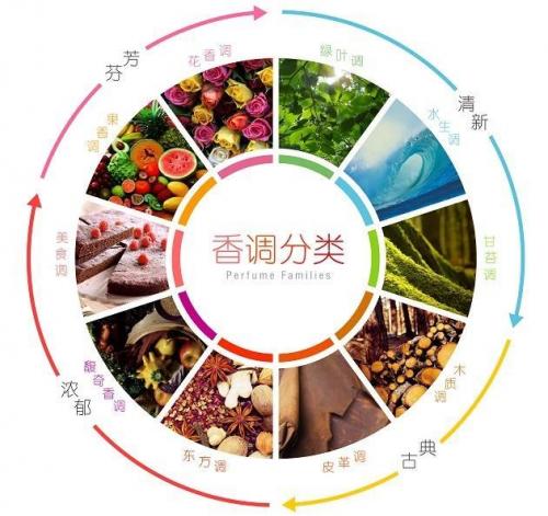 香水常识(香水常识大全教程)插图