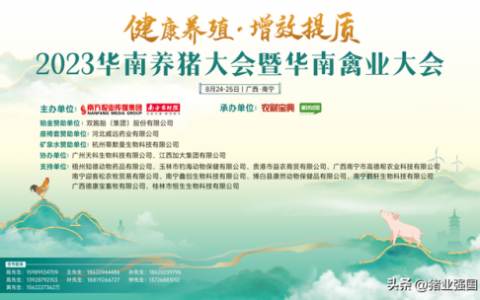 鸽子的价格排名前十(什么鸽子最值钱)