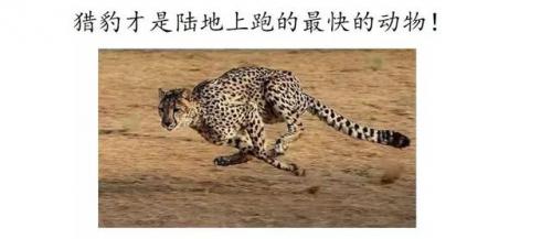 束字组词(句字组词语)插图27